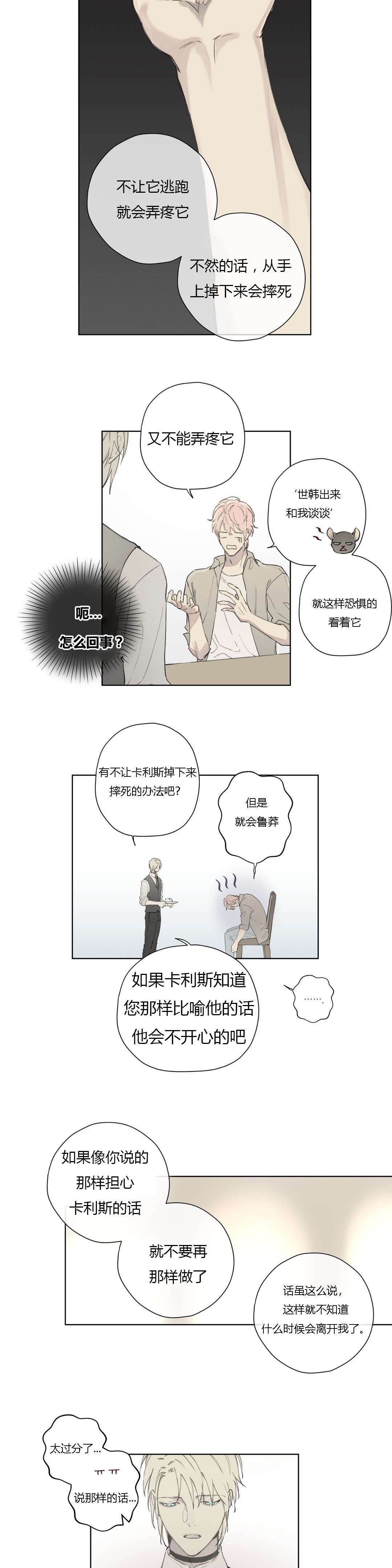 第79章：世韩和卡利斯的糖（下）