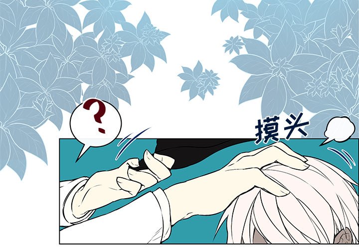 第14章：毕生心愿