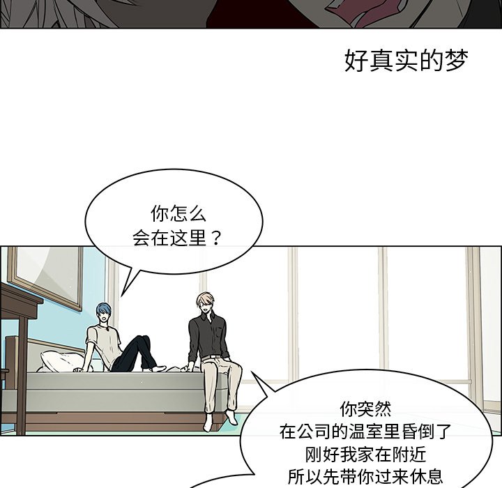 第33章：不再出现