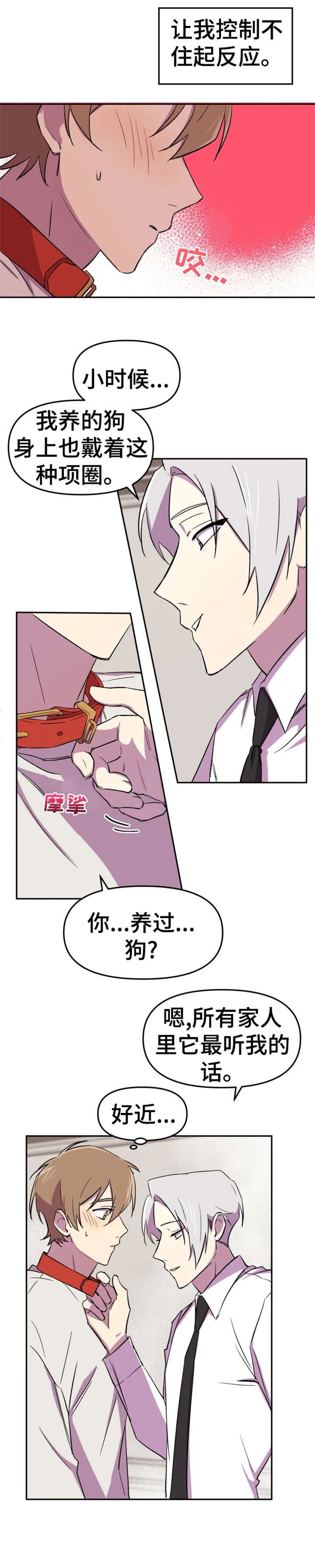 第10章：狗狗