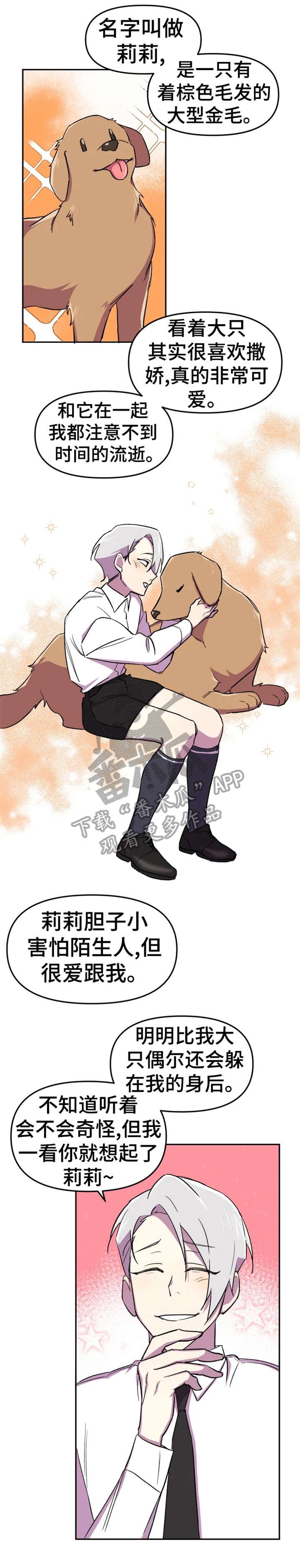 第10章：狗狗