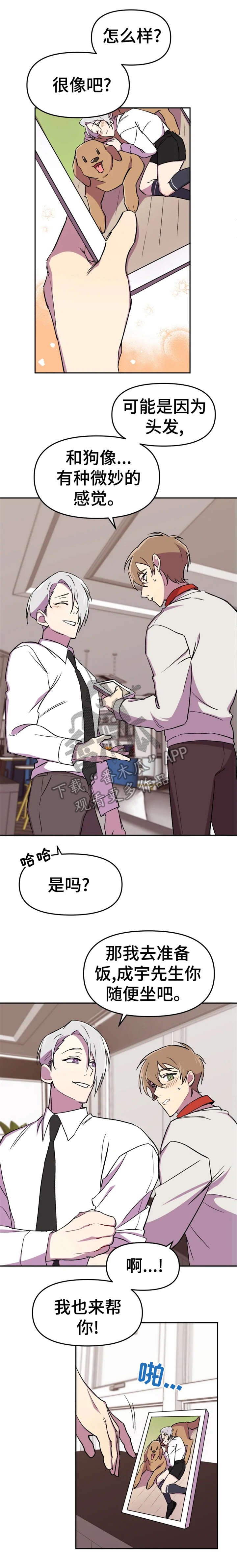 第10章：狗狗