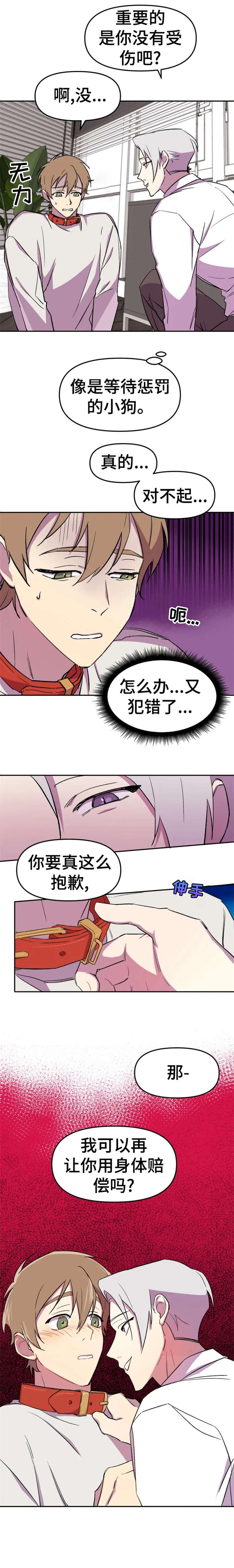 第10章：狗狗