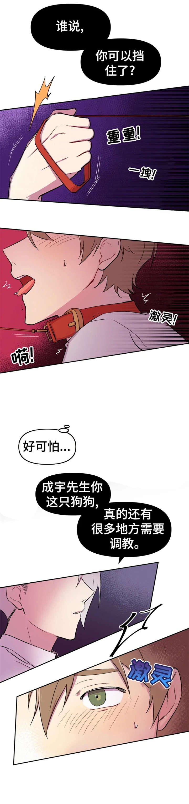 第10章：狗狗