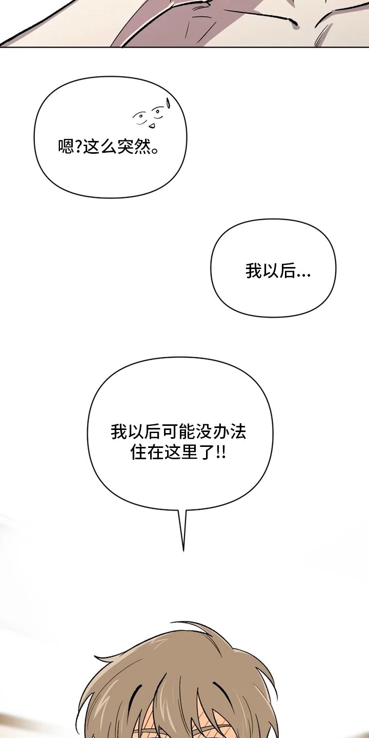 第68章：【番外完结】浪漫