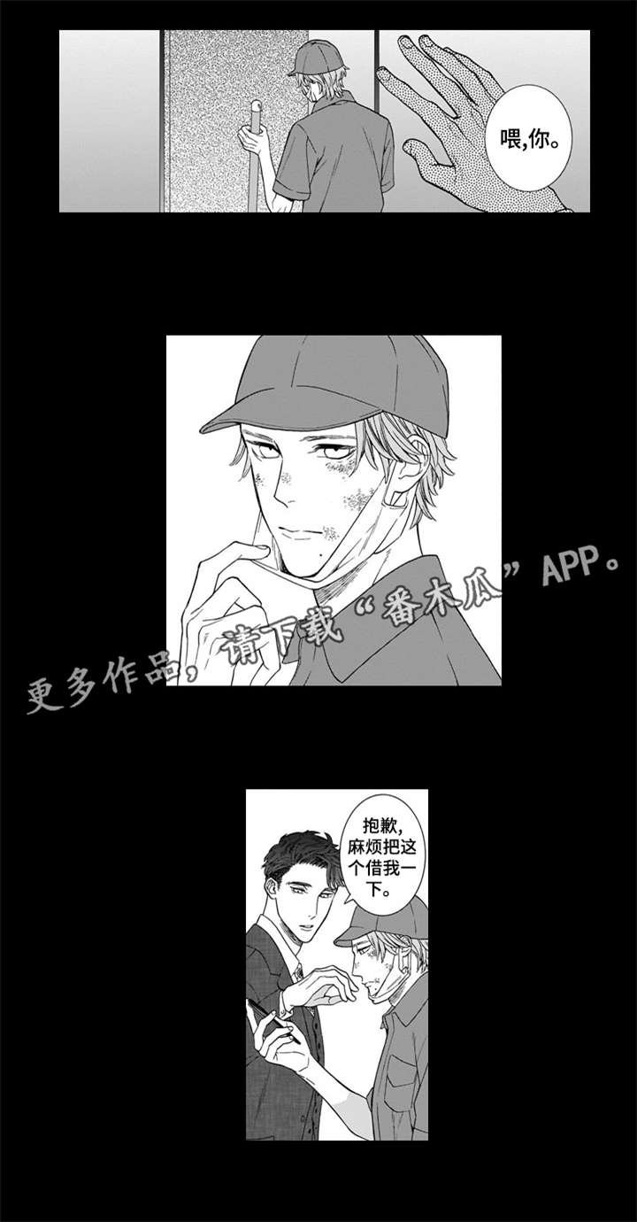 第19章：护