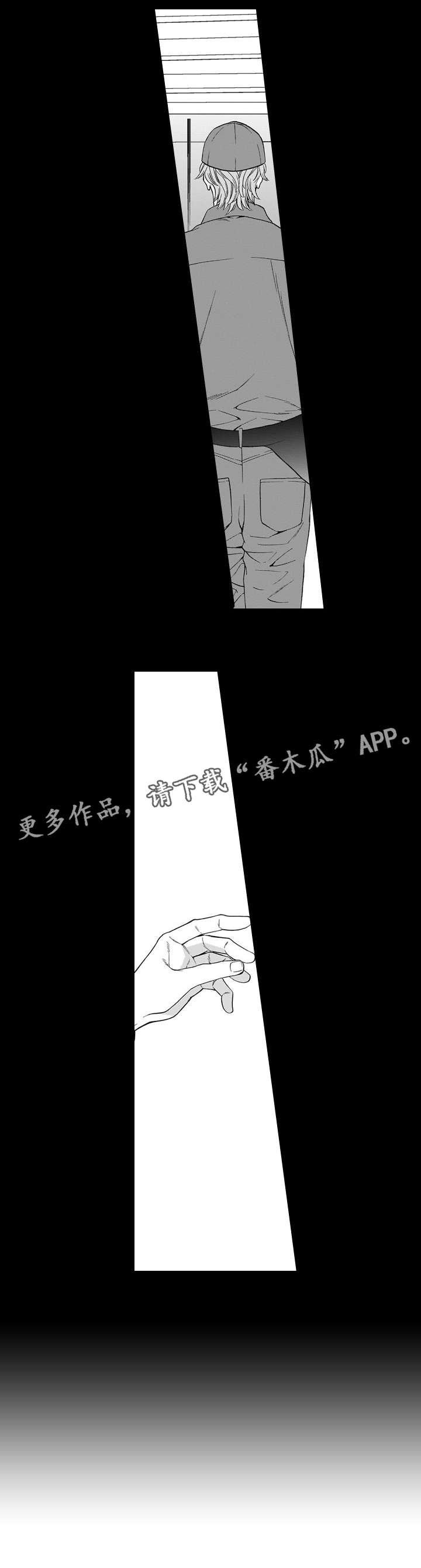 第19章：护