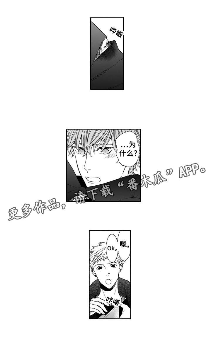 第19章：护