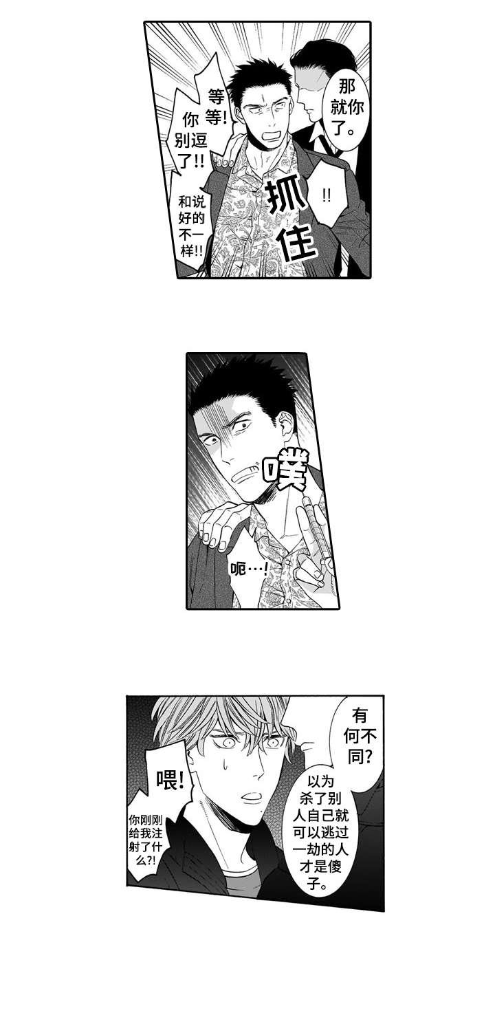 第19章：护