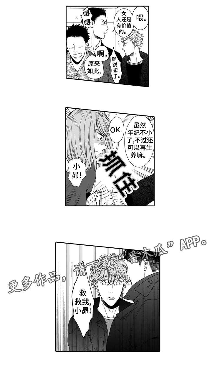 第19章：护