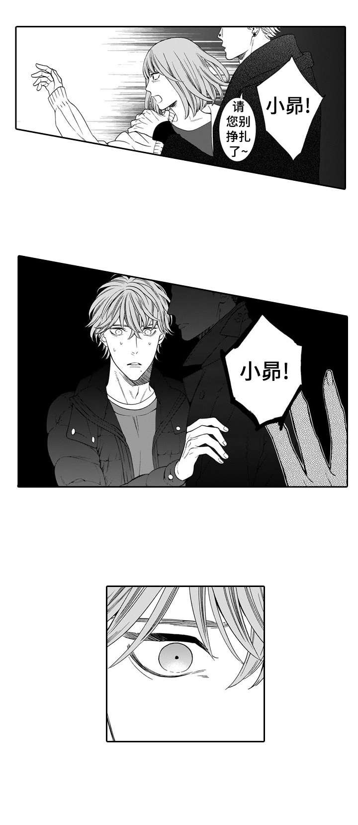 第19章：护