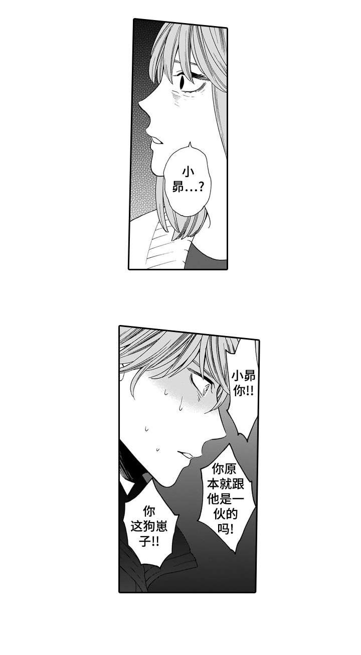 第20章：眼睛
