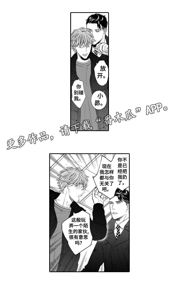 第20章：眼睛