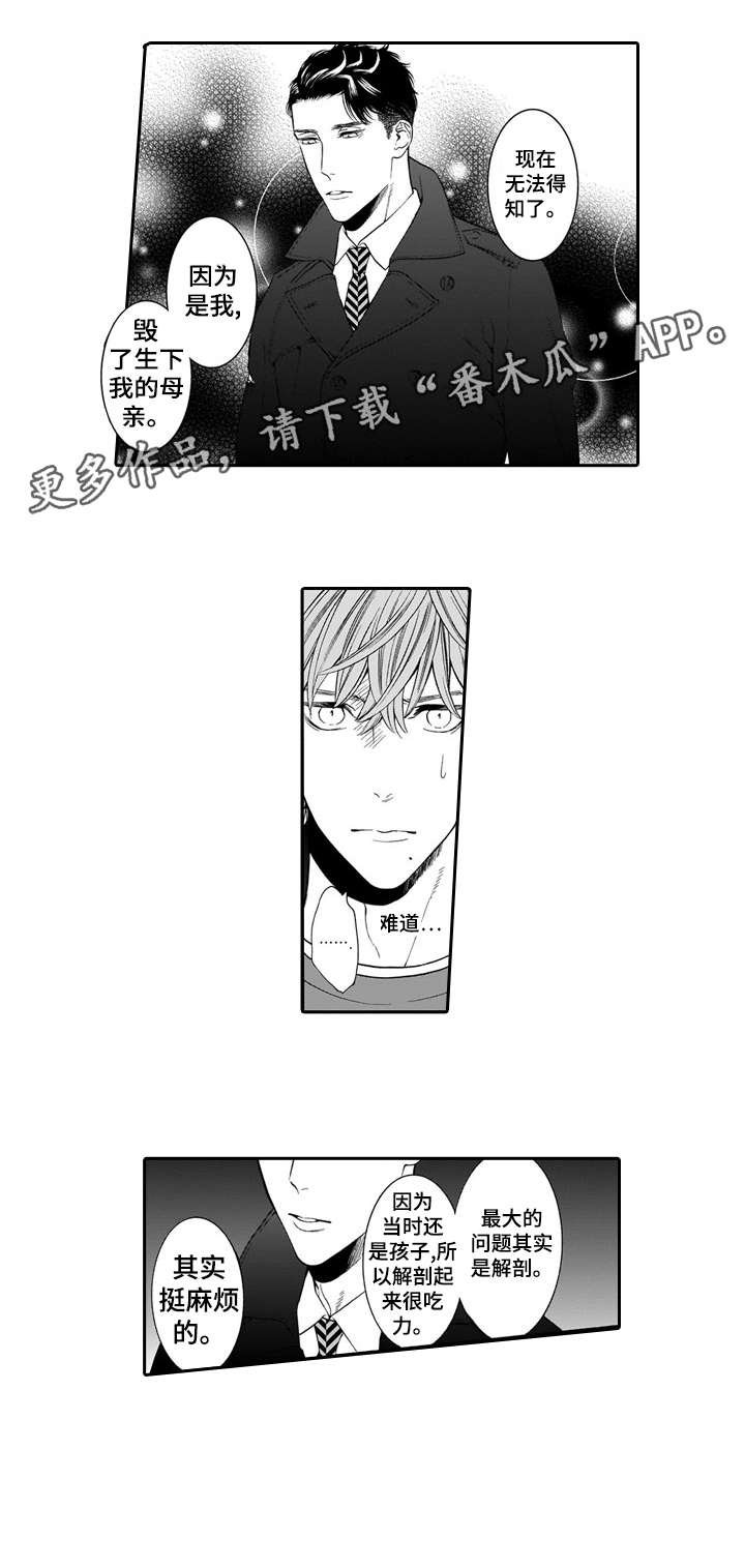 第20章：眼睛