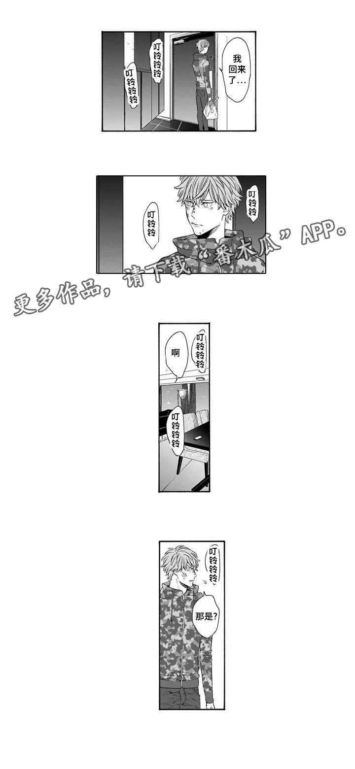 第8章：运动鞋
