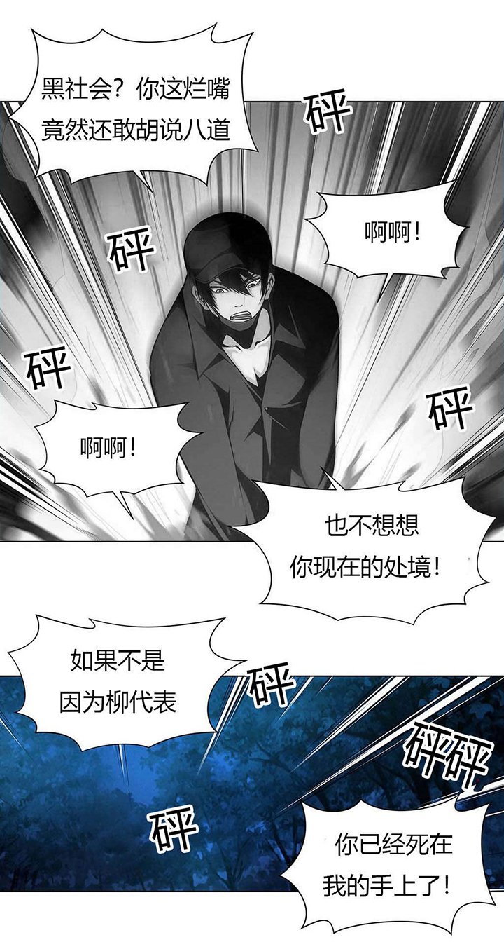第20章：黑社会的过往