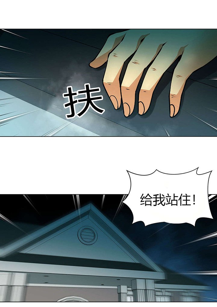 第33章：维纳斯重伤