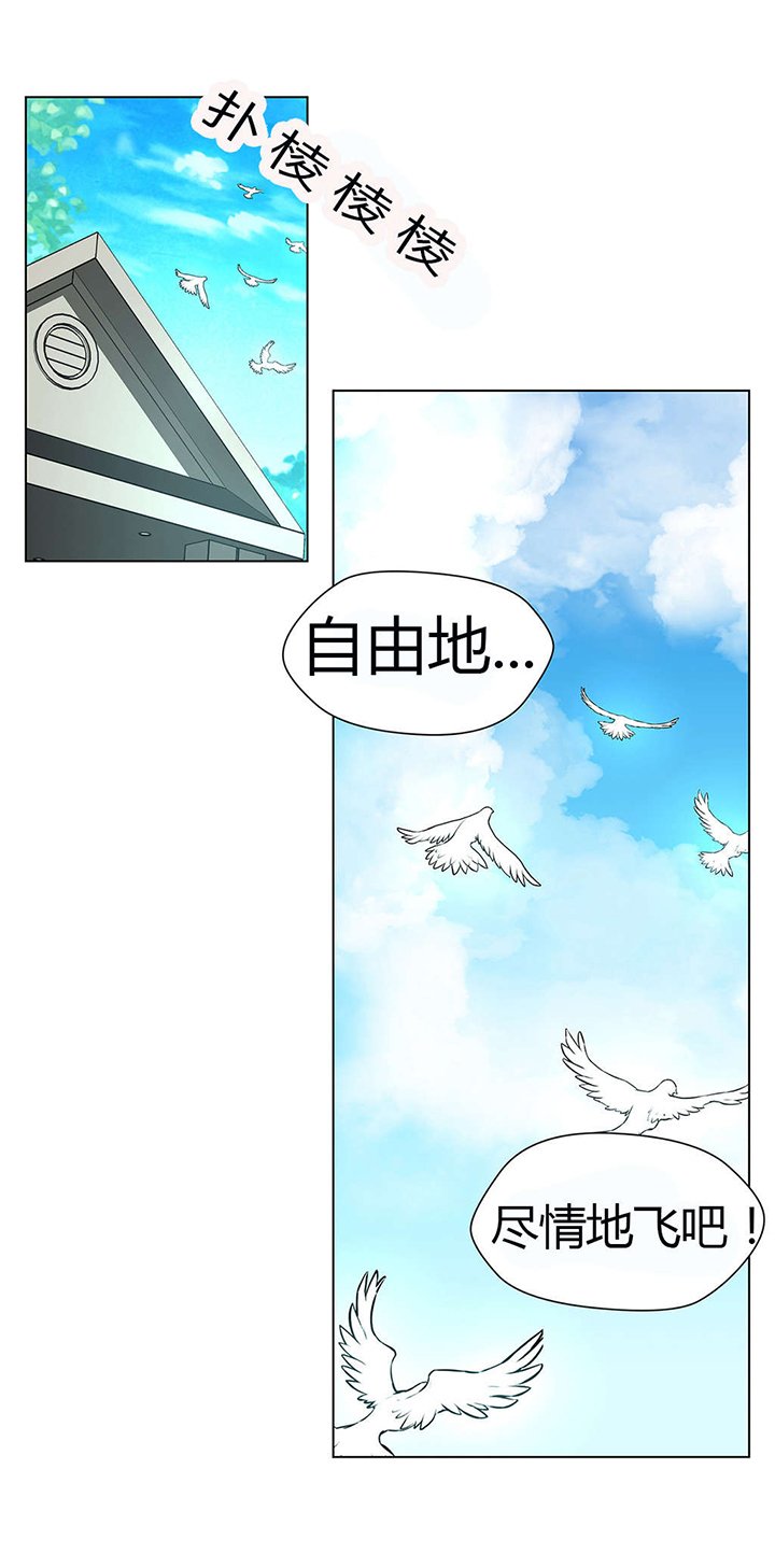 第42章：自由的飞