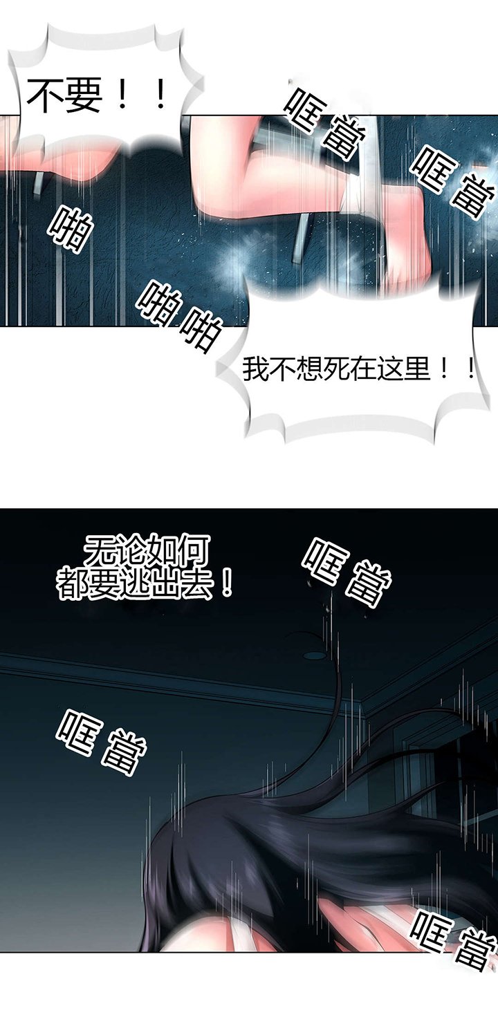 第52章：梅花
