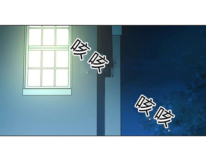 第52章：梅花
