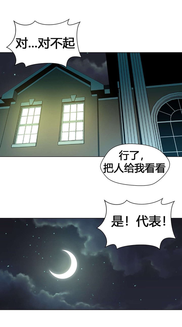 第58章：又是拍卖