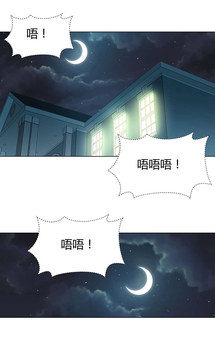 第66章：找到别墅