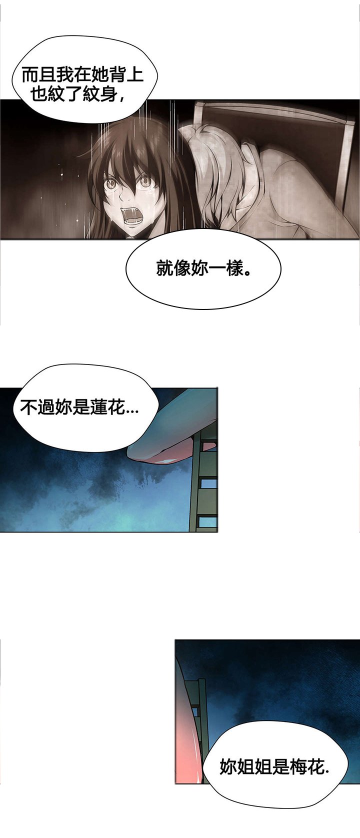第77章：莲花