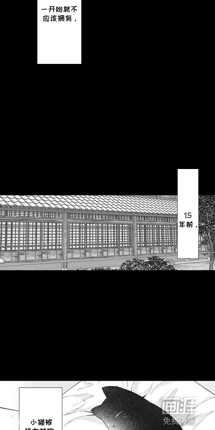 第17章：负责