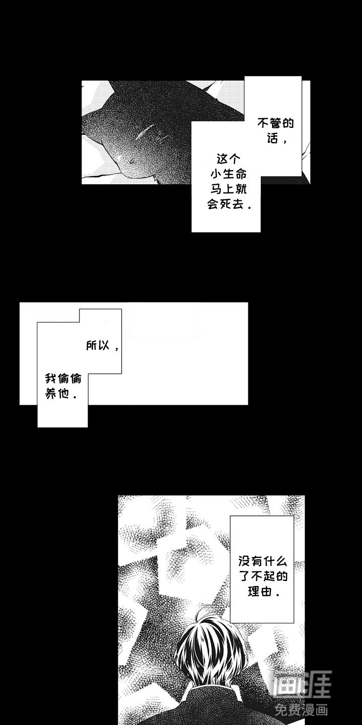 第17章：负责