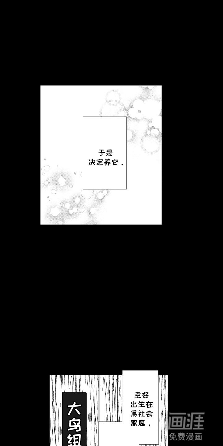 第18章：变故