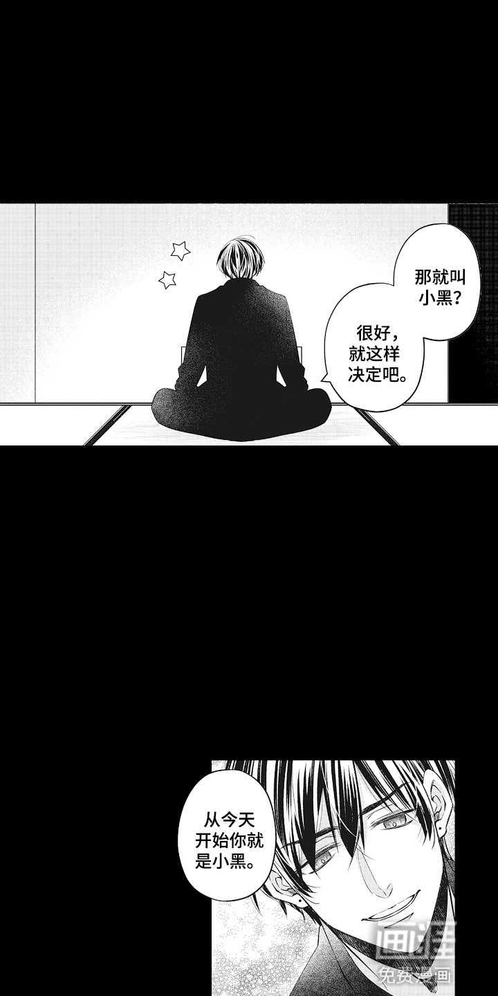 第18章：变故