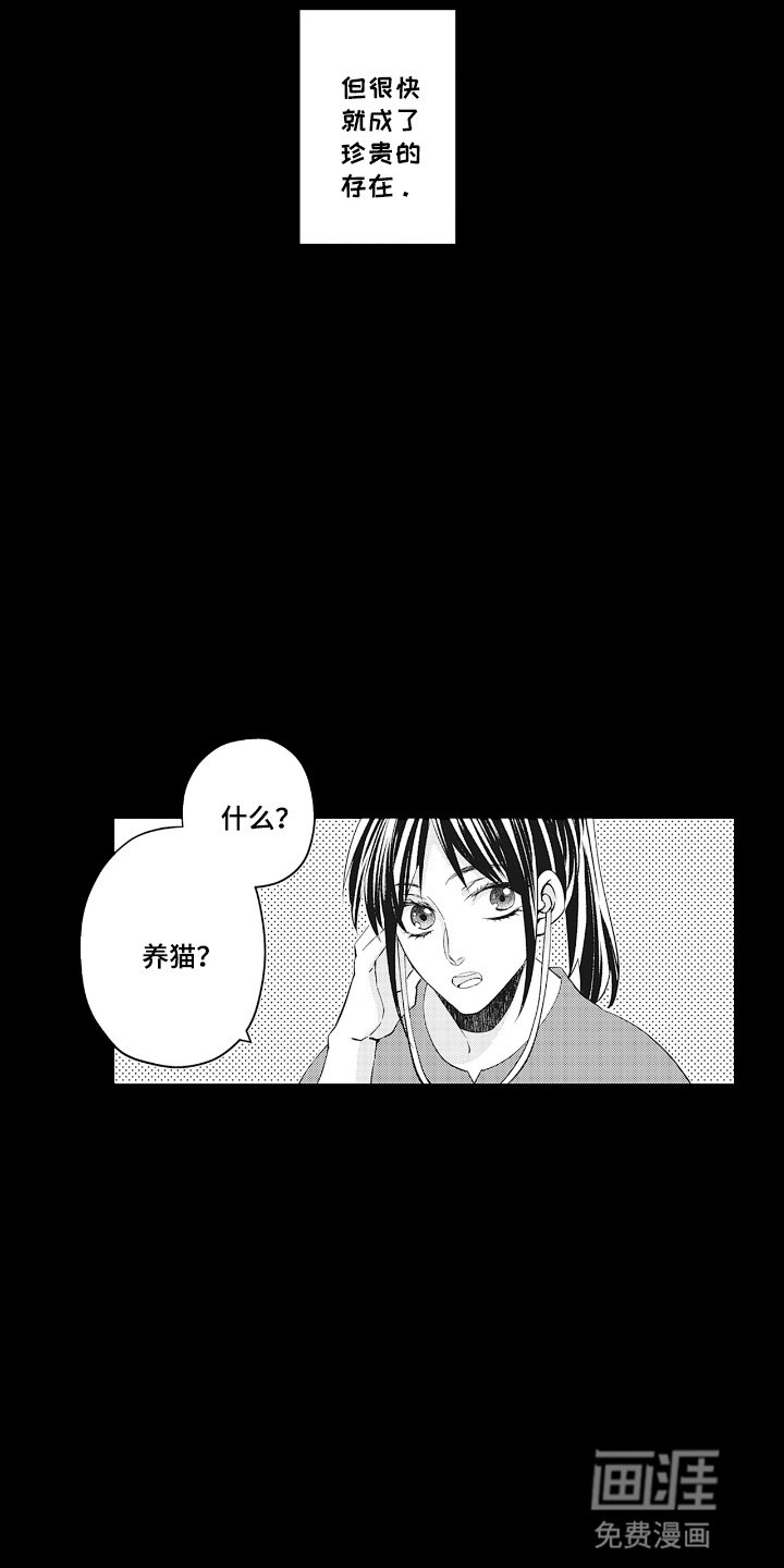 第18章：变故