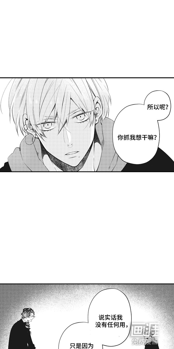 第19章：他的弱点