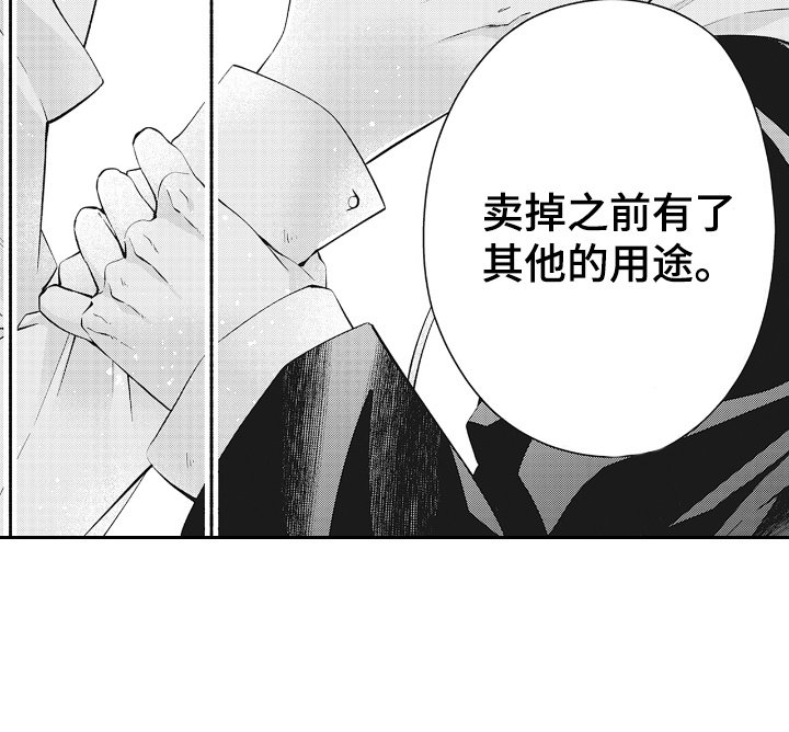 第3章：其他的用处