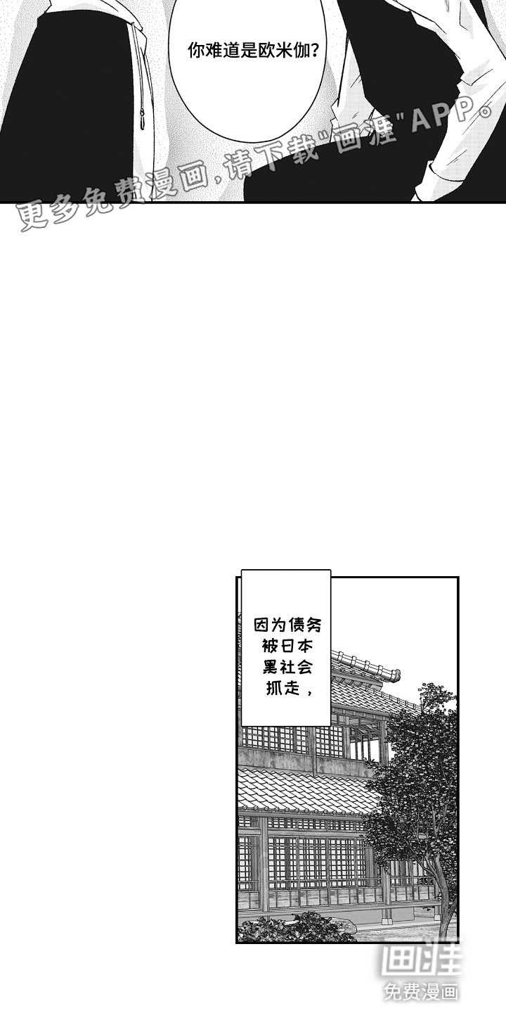 第4章：欧米伽