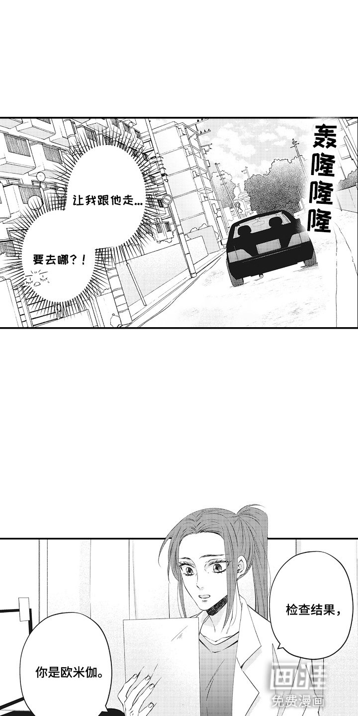 第4章：欧米伽