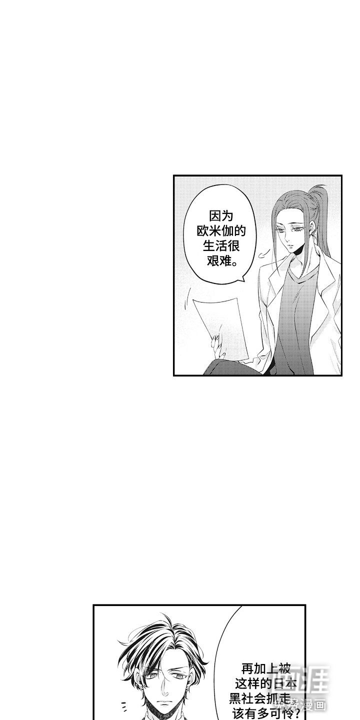 第5章：命运的伴侣