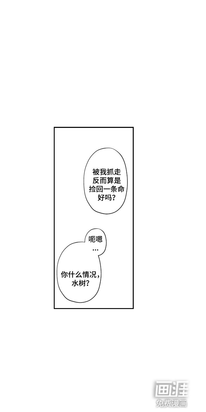 第5章：命运的伴侣