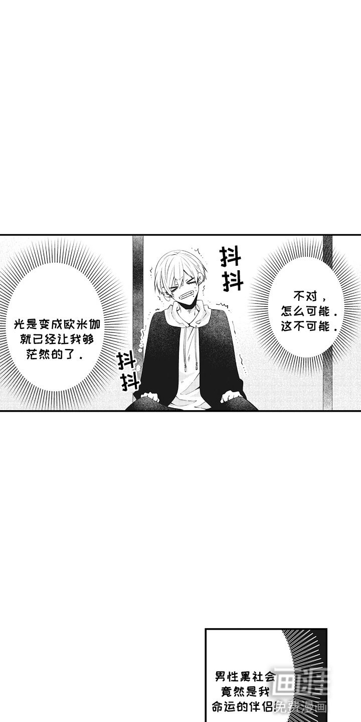 第5章：命运的伴侣