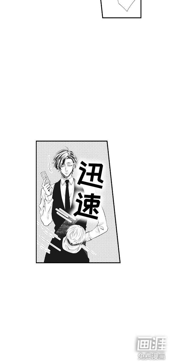 第5章：命运的伴侣
