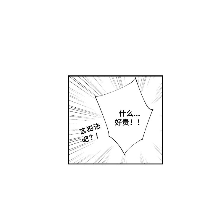 第5章：命运的伴侣