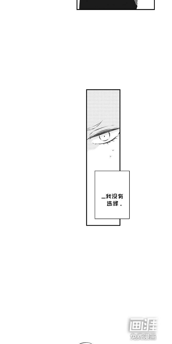 第6章：帮助