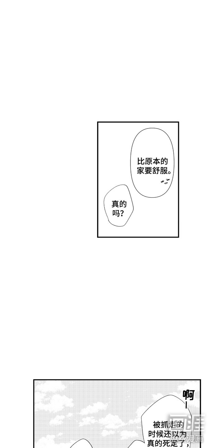 第6章：帮助