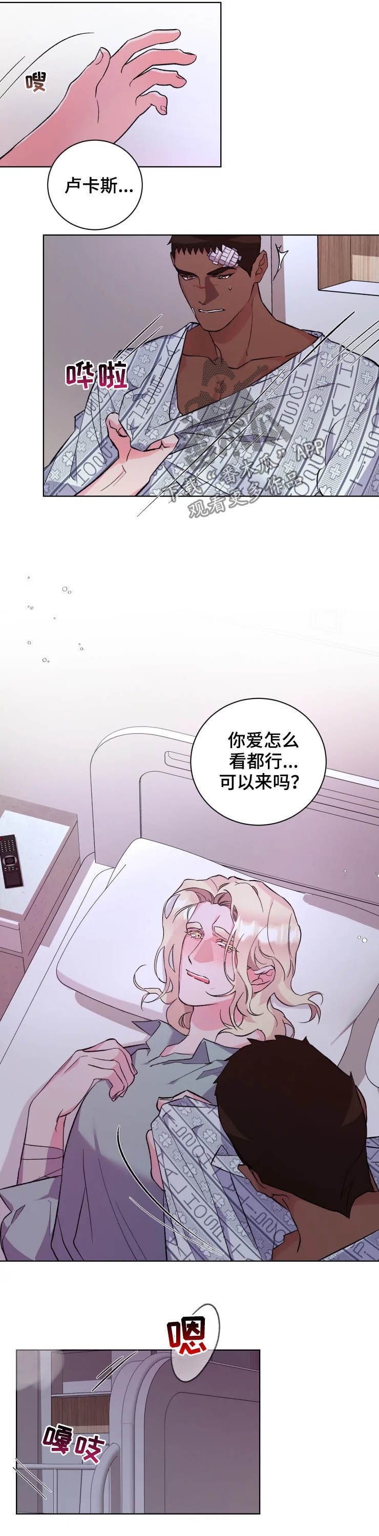 第40章：最佳时机