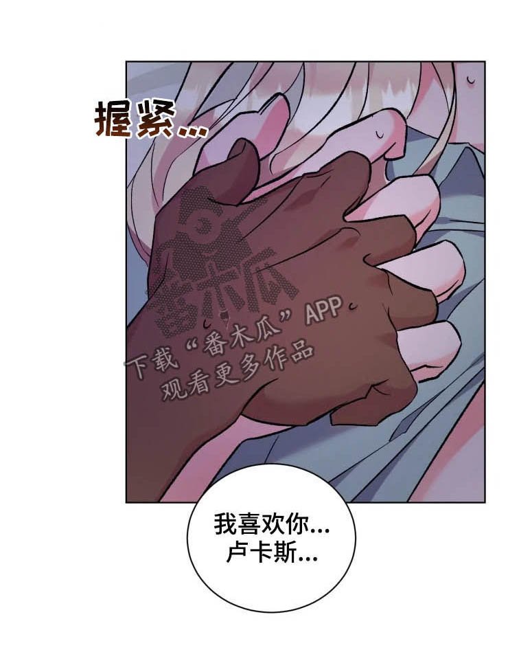 第40章：最佳时机