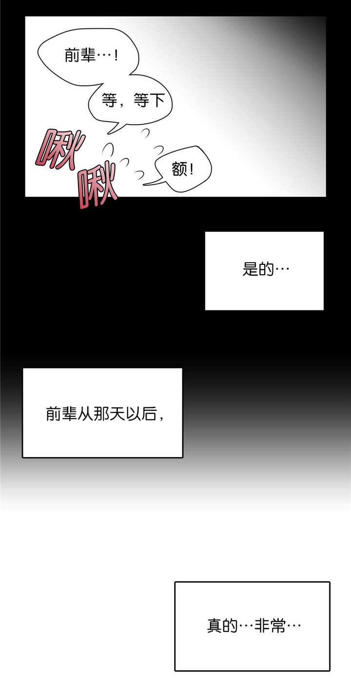 第120章：就是爱情