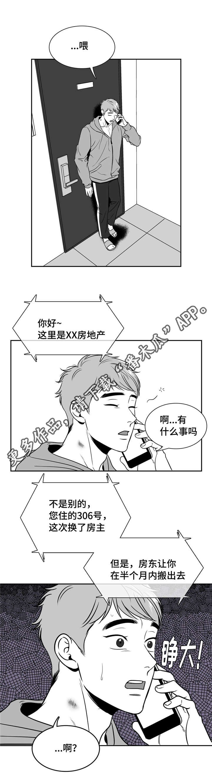 第154章：理解