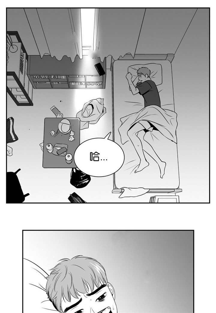 第77章：发生什么