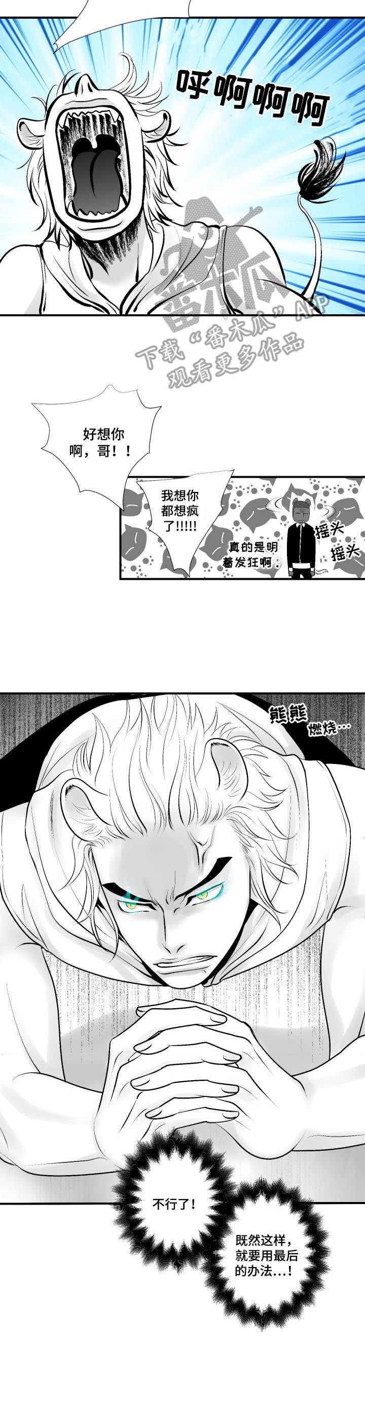第10章：弱点