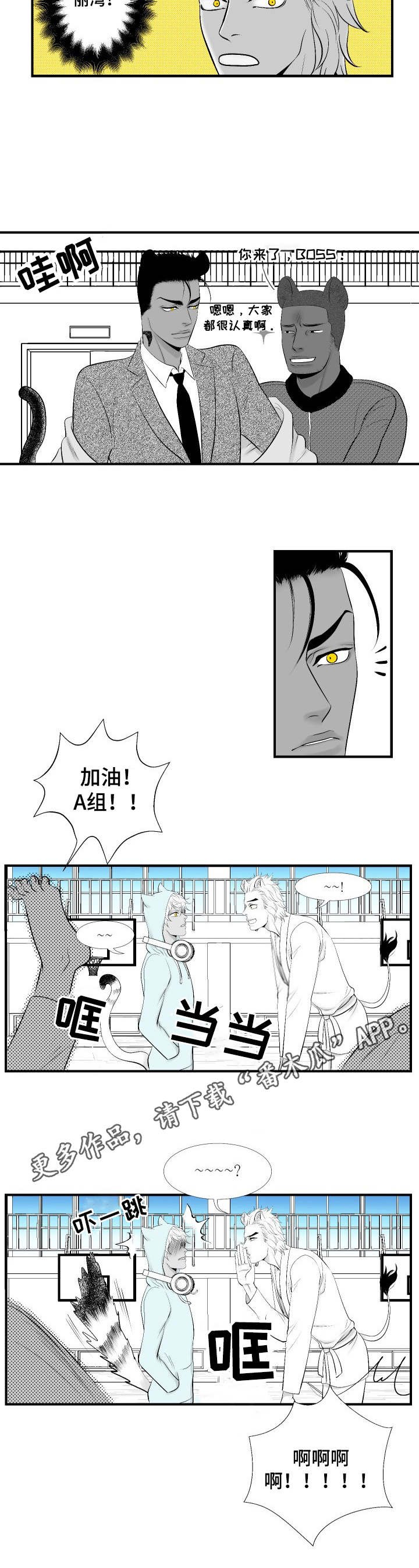 第15章：请教